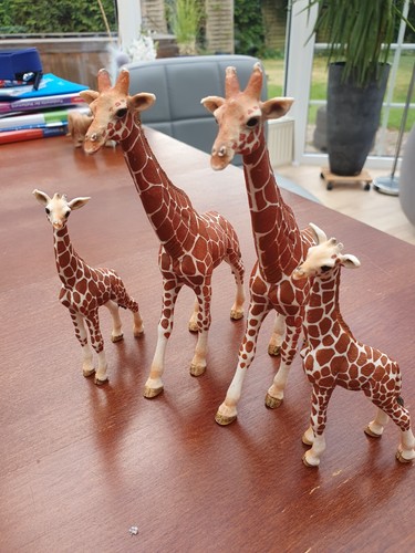 Schleich zoo sammlung - , /