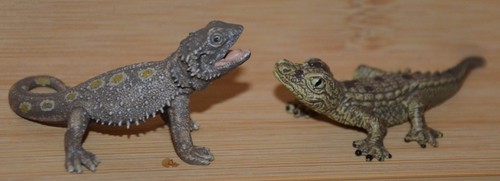 Schleich 14675 bartagame 14683 - 14675, bartagame+14683