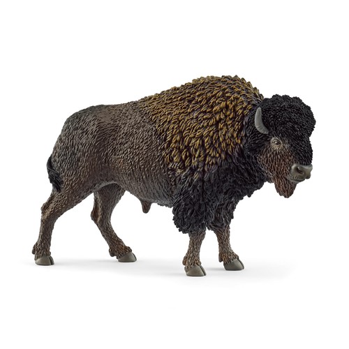 Schleich wild life bison - wild,